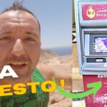 Guida all’acquisto: quale macchina conviene comprare oggi?