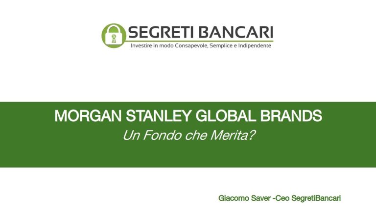 Svelati i Segreti del Successo di MS Global Brands: Un Vero Esempio di Business Internazionale