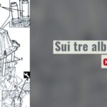 Il pericolo nascosto: il cambio automatico che va in folle