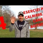 Scopri perché l’alto oleico potrebbe essere dannoso per la salute