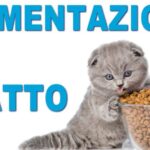 Il segreto nascosto: il gambo del broccolo, un tesoro dimenticato
