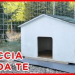 Curiosità canina: Perché il cane lecca la cuccia?