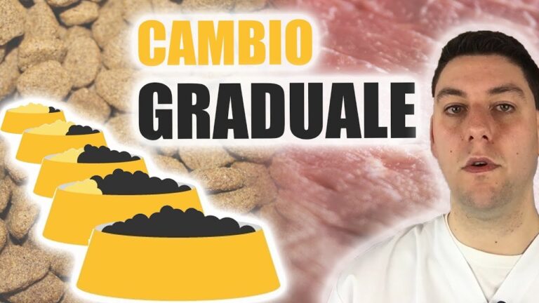 Rischi alimentari: Cambiare crocchette al cane fa male?