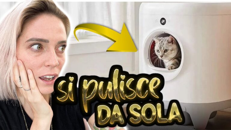 Lettiere chiuse: l’ideale per gatti grandi! Scopri come rendere il tuo felino felice e soddisfatto con la scelta giusta.
