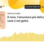 Argento Colloidale: il Rimedio Miracoloso per la Dermatite del Cane