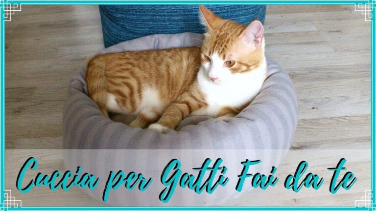 Cuscini fai da te per gatti: coccola il tuo micio con un tocco personale