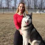 Cani: scopri la sorprendente sopravvivenza media nel tumore al fegato, un record da sfatare!