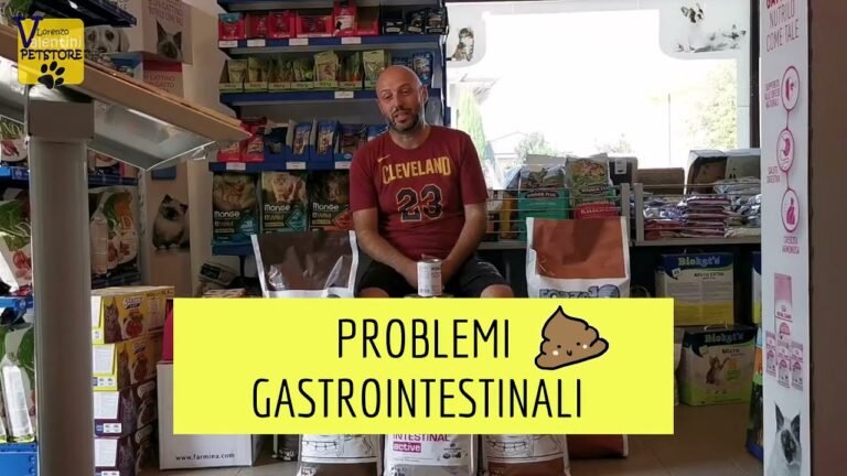 Forza 10 Gastro: la soluzione efficace per il benessere gastrointestinale del tuo cane