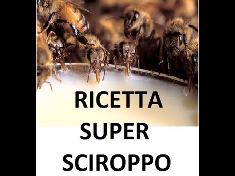 Cibo per api fai da te: nutri le tue api con amore e risparmio