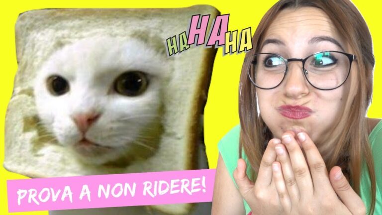 Le Gattare: il Lato Oscuro delle Amanti dei Gatti