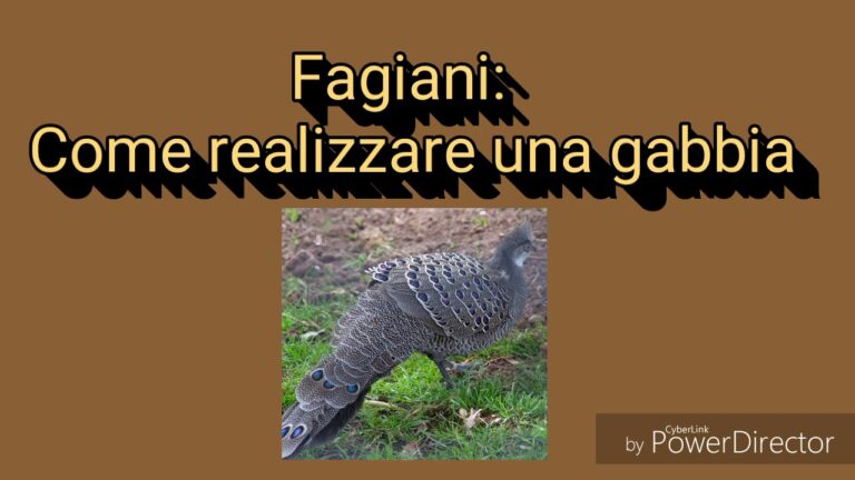 Creare una Voliera Fai da Te per Fagiani: Un Paradiso su Misura!