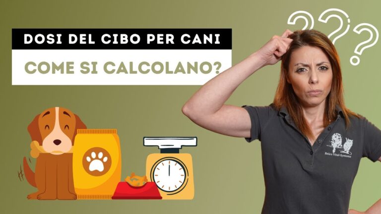 Scopri la Tabella delle Dosi del Cibo Umido per Cani Adulti: Nutri il Tuo Amico a Quattro Zampe con la Quantità Perfetta!