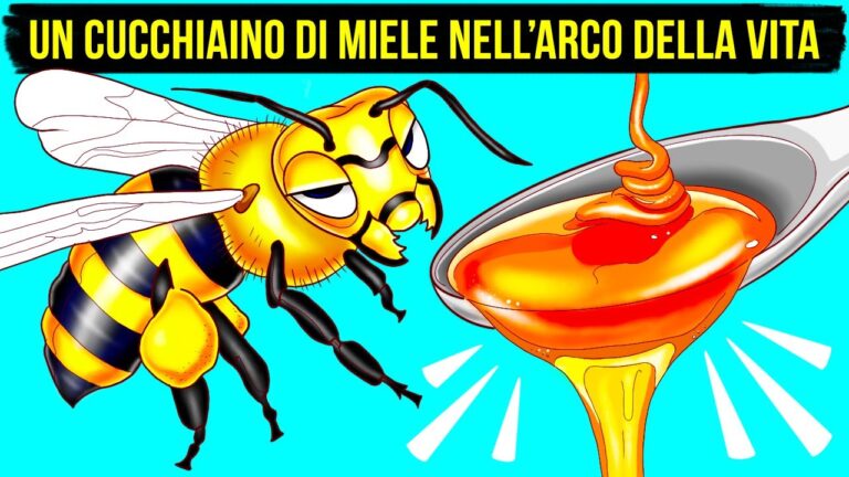 Le api insetti: scopri perché sono fondamentali per l’ecosistema!
