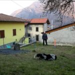 Il Mistero del Cane che Spruzza Pipì Ovunque: Scoperte e Soluzioni