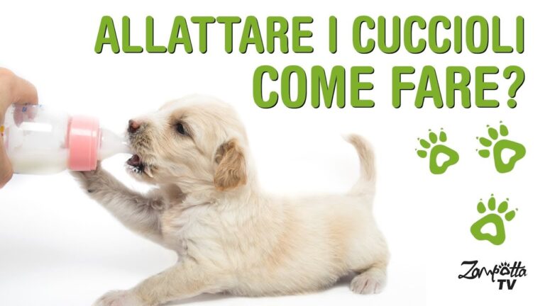 Natural Trainer: la tabella dosi per il cucciolo che conquista tutti