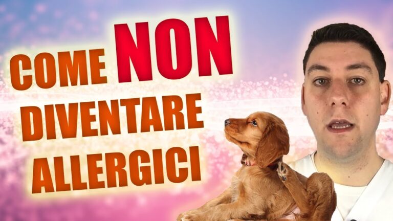 Il gatto soffre di allergia al pollo: sintomi e rimedi