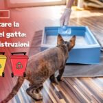 La sorprendente verità: ho toccato la pipì del gatto e questo è ciò che è successo