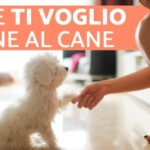 Cane agitato? Scopri la sorprendente connessione tra stress e tosse!