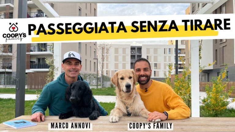 Tutto quello che devi sapere sulle razze di cani che tirano al guinzaglio: scopri i migliori addestramenti!