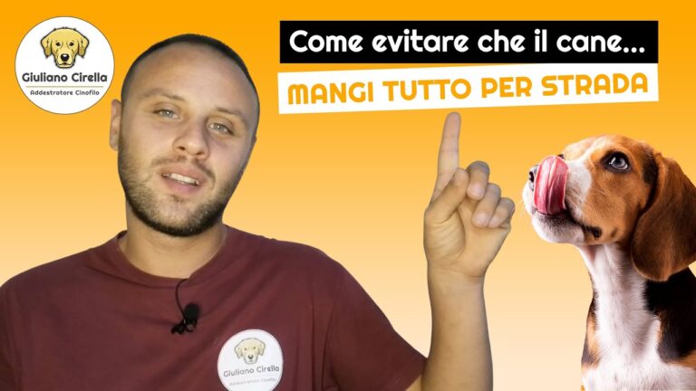 Indizi vitali: come capire se i cuccioli mangiano