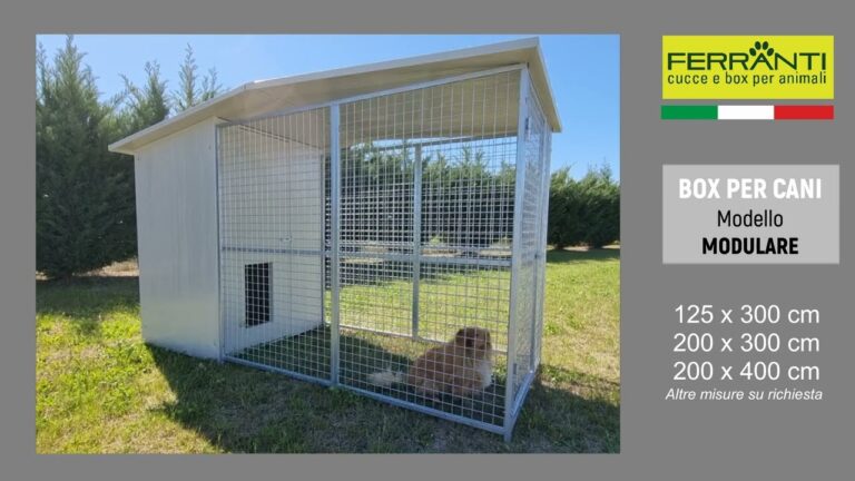 Cucce per Cani da Esterno Usate: Coibentate per il Massimo Comfort a Prezzi Ridotti!