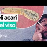 Il miglio pastoncino per cardellini: i segreti per favorire la loro salute!