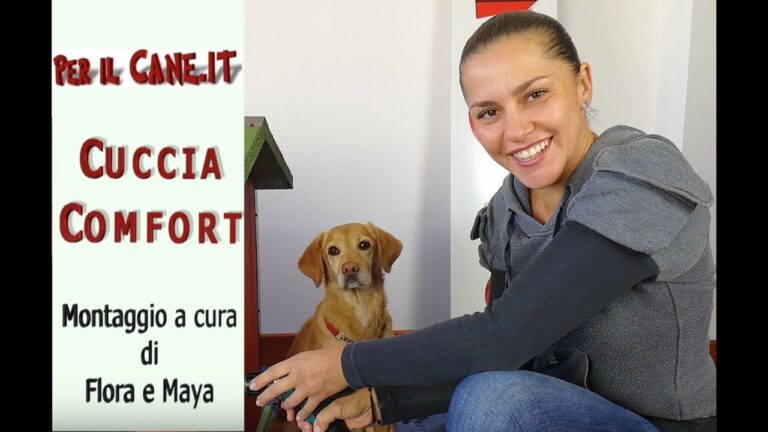 Cucce per cani da esterno: comfort coibentato e calore a misura di zampa