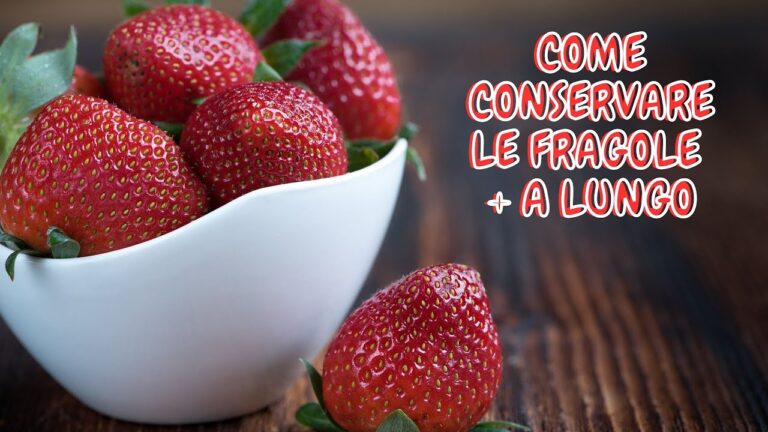 Segreti per conservare uova fresche: tecniche per prolungare la loro freschezza!
