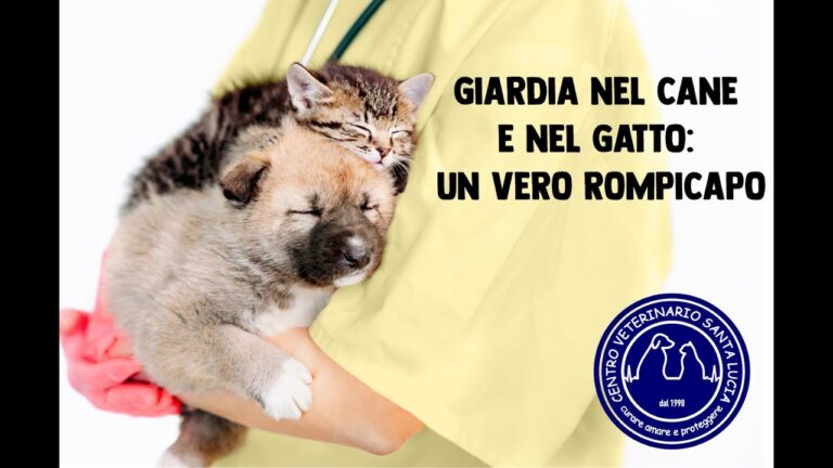 Giardia nel cucciolo: ecco cosa cercare per riconoscere i sintomi