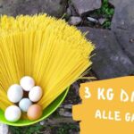 Calcio per Galline Fai da Te: Come Divertire le Tuo Polli con un Gioco Innovativo
