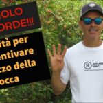 Sopravvivo all’incubo: quando il mio cane ringhia e morde!
