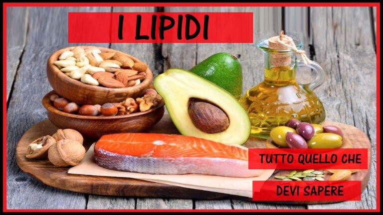 Carboidrati: La Guida Essenziale per la Classificazione