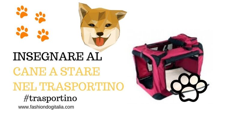 Borse trendy per barboncini toy: la moda al servizio dei più piccoli