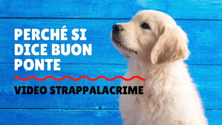 Cosa significa Buon Ponte? Scopri il significato dietro il saluto festivo!