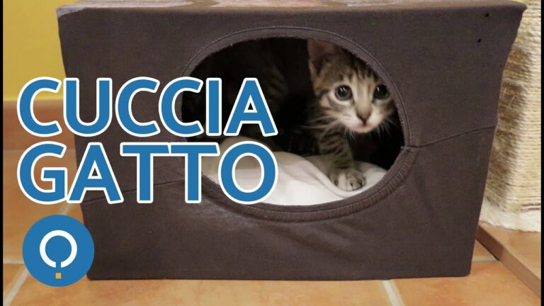 Cuccette per gatti da interno: comfort e stile per i tuoi amici felini
