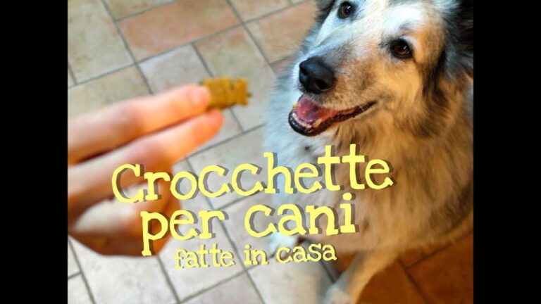 Scopri le crocchette speciali per cani sterilizzati: il segreto per una salute ottimale!