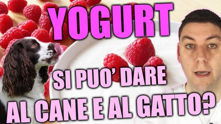 Scopri le Dosi Perfette di Yogurt al Cane per una Salute Ottimale!