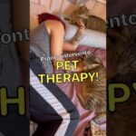 Cane agitato? Scopri la sorprendente connessione tra stress e tosse!
