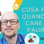 Il miglio pastoncino per cardellini: i segreti per favorire la loro salute!