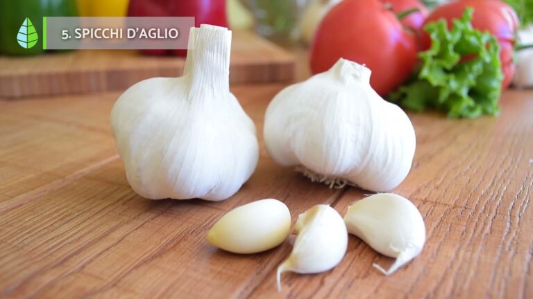 7 trucchi per debellare le fastidiose mosche in casa