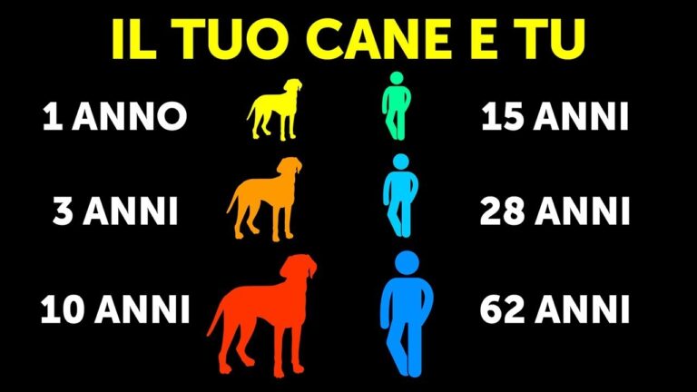 18 anni di fedeltà: il record dell’età massima del cane