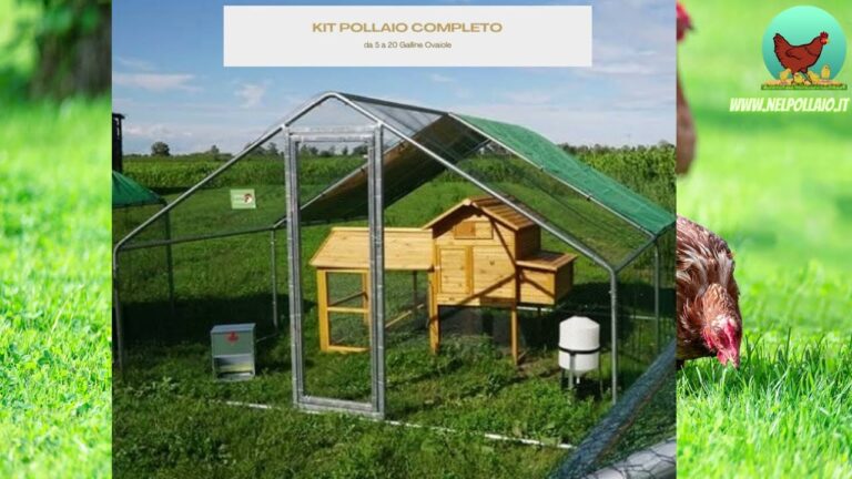 Creare un piccolo paradiso naturale con il kit pollaio fai da te: facile e divertente!