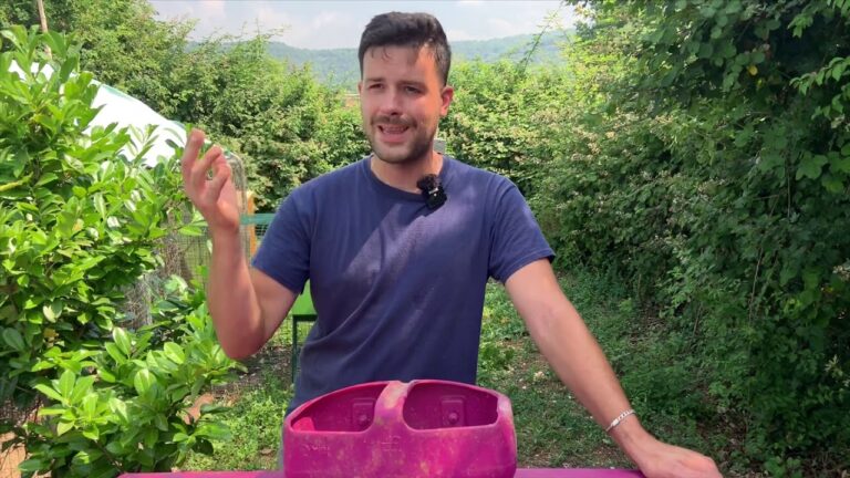 Calcio per Galline Fai da Te: Come Divertire le Tuo Polli con un Gioco Innovativo