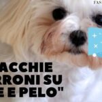 Febricita alle stelle: 7 modi per abbassare la febbre a 40