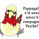 Quanto resistiamo senza bere: sfida per l’organismo