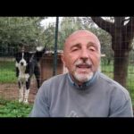 Il segreto nascosto: il gambo del broccolo, un tesoro dimenticato