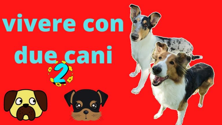 Avere Due Cani: Vantaggi e Svantaggi da Considerare