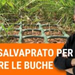 Cibo per api fai da te: nutri le tue api con amore e risparmio