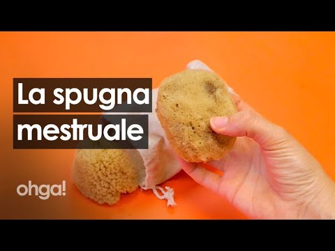 Spugnette mestruali: la soluzione innovativa per rapporti intimi