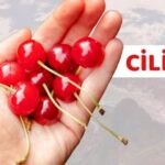 Suggerimenti per splendere: scopri come applicare i brillantini sul viso!